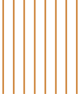 步骤1