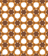 步骤5